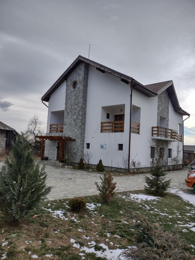 Pensiunea Codruta Cărpinişu Exterior foto