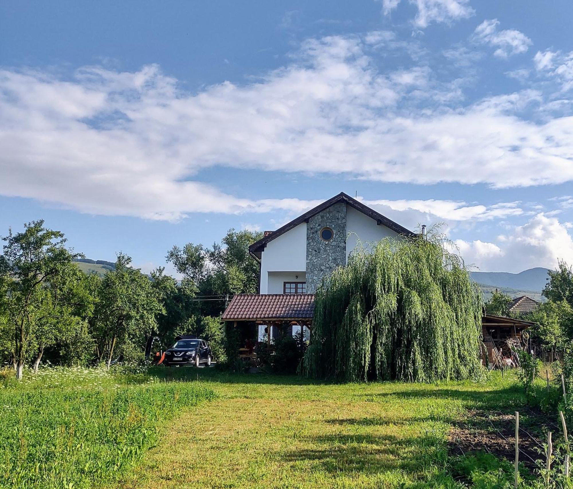 Pensiunea Codruta Cărpinişu Exterior foto