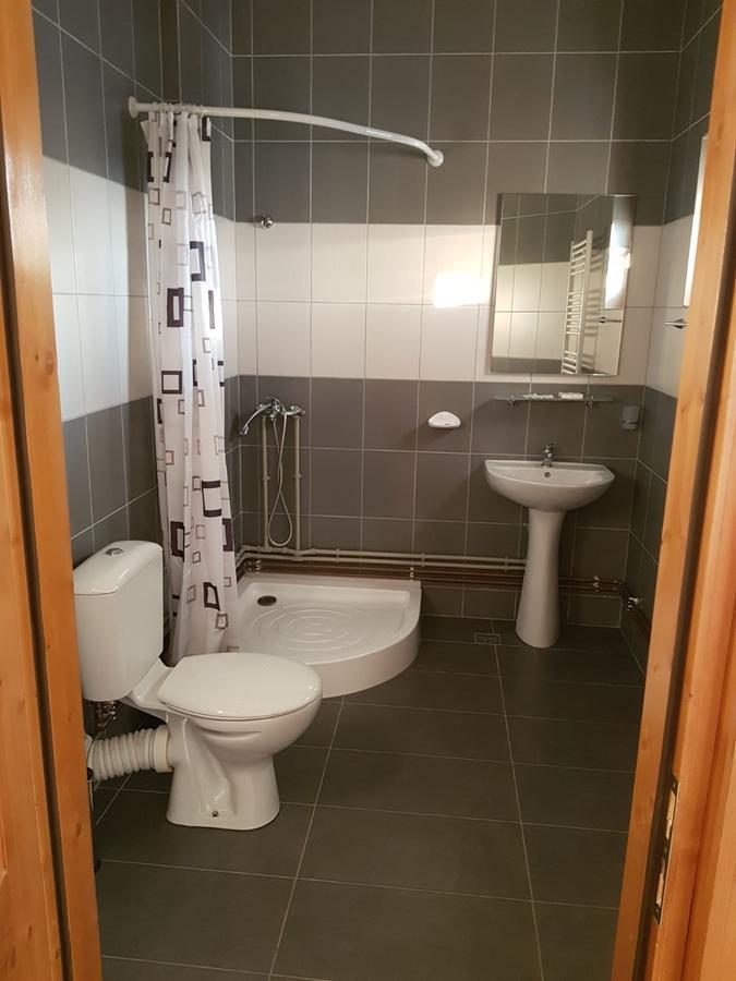 Pensiunea Codruta Cărpinişu Exterior foto